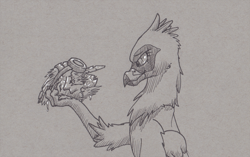 Size: 2000x1258 | Tagged: suggestive, artist:doesnotexist, oc, oc:serilde, bird, bird of prey, eagle, feline, fictional species, gryphon, mammal, spanish imperial eagle, feral, beak, bust, claws, death, disposal, duo, eagle gryphon, feathered wings, feathers, female, goggles, monochrome, pellet, post-vore, saliva, skull, tail tuft, talons, vore, wings