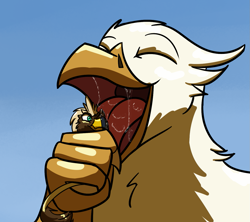 Size: 1343x1190 | Tagged: suggestive, artist:gyrotech, artist:swiftsketch, edit, oc, oc:der, oc:serilde, bird, bird of prey, eagle, feline, fictional species, gryphon, mammal, spanish imperial eagle, feral, comic:rude to large birds, beak, bird feet, brown feathers, claws, color edit, duo, eagle gryphon, feathered wings, feathers, female, fur, green eyes, imminent vore, licking, micro, open mouth, paws, saliva, size difference, tail, tail tuft, talons, tongue, tongue out, white feathers, wings, yellow fur