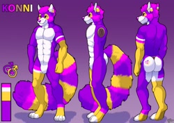 Size: 1280x905 | Tagged: safe, alternate version, artist:furryratchet, oc, oc only, oc:konni, mammal, procyonid, raccoon, anthro, digitigrade anthro, 2020, abs, butt, cheek fluff, color palette, color porn, colour palette, featureless crotch, fluff, gay symbol, hair, long tail, male, muscles, rear view, reference sheet, ringtail, side view, signature, solo, solo male, tail, three-quarter view