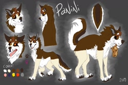 Size: 1280x853 | Tagged: safe, artist:panininha, oc, oc only, oc:panini(panininha), canine, mammal, wolf, feral, angry, female, hunting, looking at you, rear view, reference sheet, smirk, solo, solo female, tongue, tongue out