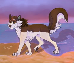 Size: 1280x1097 | Tagged: safe, artist:panininha, oc, oc only, oc:panini(panininha), canine, mammal, wolf, feral, beach, chest fluff, female, fluff, looking at you, sand, smiling, solo, solo female, water, watermark