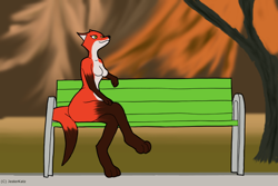 Size: 660x440 | Tagged: safe, artist:jesterkatz, canine, fox, mammal, red fox, anthro, digitigrade anthro, 2017, autumn, bench, breasts, crossed legs, digital art, drawing, featureless breasts, female, looking up, park, signature, sitting, solo, solo female