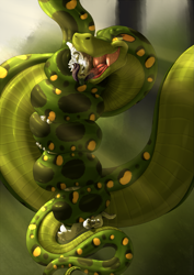 Size: 1315x1860 | Tagged: suggestive, artist:inkanyamba, argonian, fictional species, reptile, snake, anthro, the elder scrolls, claws, coiling, duo, female, imminent vore, licking, male, open mouth, saliva, snake tail, tail, tongue, tongue out