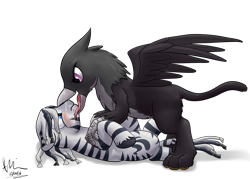 Size: 2066x1476 | Tagged: suggestive, artist:doesnotexist, oc, oc:gwyn (chatterbox), oc:ruzeth, oc:ruzeth (zebra), bird, equine, feline, fictional species, gryphon, mammal, zebra, feral, friendship is magic, hasbro, my little pony, beak, bird feet, black feathers, blue eyes, cutie mark, duo, feathers, fur, gray fur, gray hair, hair, hair clip, hooves, imminent vore, licking, male, open mouth, purple eyes, saliva, spread wings, tail, tongue, tongue out, white fur, white hair, wings