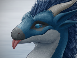 Size: 2644x2000 | Tagged: safe, artist:prestomajesto, dragon, fictional species, furred dragon, ambiguous form, blue eyes, bust, cute, high res, horns, portrait, solo, tongue, tongue out