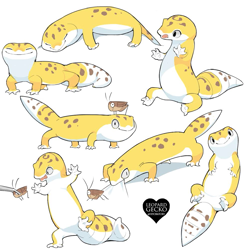 Size: 989x1000 | Tagged: safe, artist:hiyoratory, arthropod, cockroach, gecko, insect, leopard gecko, lizard, reptile, feral, 2020, duo, english text, eyes closed, heart, lying down, on back, signature, simple background, sitting, sleeping, smiling, smiling at you, standing, tail, text, tongue, tongue out, white background, white body, yellow body