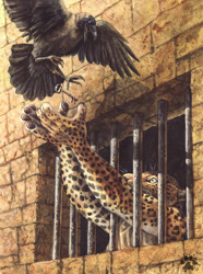 Size: 613x824 | Tagged: safe, artist:blotch, big cat, bird, corvid, crow, feline, leopard, mammal, songbird, anthro, feral, lifelike feral, 2010, bars, beak, bird feet, clothes, duo, feathered wings, feathers, key, looking at something, non-sapient, open mouth, realistic, size difference, spread wings, tail, traditional art, watermark, whiskers, window, wings