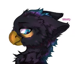Size: 1280x1088 | Tagged: safe, artist:lemas, oc, oc only, oc:azuki puddles, billed magpie, billed magpie gryphon, bird, corvid, feline, fictional species, gryphon, magpie, songbird, feral, beak, blue eyes, bust, ears, looking back, portrait, solo