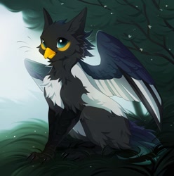 Size: 1272x1280 | Tagged: safe, artist:ria_woof17, oc, oc only, oc:azuki puddles, billed magpie, billed magpie gryphon, bird, corvid, feline, fictional species, gryphon, magpie, songbird, feral, beak, claws, paws, solo, spread wings, wings