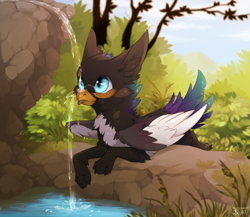 Size: 1896x1643 | Tagged: safe, artist:reysi, oc, oc only, oc:azuki puddles, billed magpie, billed magpie gryphon, bird, corvid, feline, fictional species, gryphon, magpie, songbird, feral, beak, feathered wings, feathers, puddle, solo, spread wings, tree, water, wings