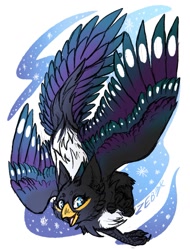 Size: 971x1280 | Tagged: safe, artist:zeberka, oc, oc only, oc:azuki puddles, billed magpie, billed magpie gryphon, bird, corvid, feline, fictional species, gryphon, magpie, songbird, feral, beak, feathered wings, feathers, solo, spread wings, wings