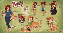 Size: 1200x635 | Tagged: safe, artist:rileyy, oc, oc only, oc:kiro, oc:riley, canine, dog, fox, mammal, mutt, anthro, digitigrade anthro, feral, mass effect, anthro/anthro, arm wraps, bandanna, belly button, bikini, blep, blushing, bottomwear, bra, breasts, cheek fluff, chest fluff, clothes, curled tail, duality, english text, eyes closed, fangs, female, floppy ears, fluff, front view, glasses, hair, hand on hip, head fluff, holding, holding hands, hoodie, hug, nudity, panties, pants, paw pads, paws, pink eyes, ponytail, reference sheet, shirt, signature, solo, solo female, solo focus, standing, tail, tail fluff, teeth, tongue, tongue out, topwear, underwear, wraps, young