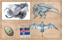 Size: 1000x647 | Tagged: safe, artist:william o'connor, dragon, fictional species, reptile, western dragon, feral, 2d, ambiguous gender, bottom view, casual nudity, complete nudity, egg, english text, flag, iceland, nudity, rear view, scales, side view, signature, solo, solo ambiguous, spread wings, tail, webbed wings, wings