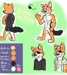 Size: 1080x1212 | Tagged: safe, artist:ruskeydoodles, oc, oc only, oc:alphie (ruskeydoodles), canine, jackal, mammal, anthro, plantigrade anthro, 2016, abs, cheek fluff, clothes, eyepatch, featureless crotch, fluff, front view, male, muscles, nudity, paws, raised hand, rear view, reference sheet, scar, simple background, solo, solo male, tail