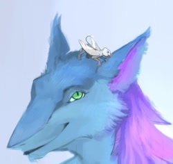 Size: 1280x1210 | Tagged: safe, artist:greiser, oc, oc only, oc:der, oc:gyro feather, oc:gyro feather (sergal), bird, feline, fictional species, gryphon, mammal, sergal, feral, 2018, blue eyes, blue fur, countershading, duo, ears, gradient background, green eyes, male, micro, nostrils, preening, purple hair, simple background, size difference, slit pupils, solo, solo male