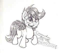 Size: 732x633 | Tagged: safe, artist:inurantchan, scootaloo (mlp), equine, fictional species, mammal, pegasus, pony, feral, friendship is magic, hasbro, my little pony, 2020, atg 2020, black and white, feathered wings, feathers, female, filly, foal, grayscale, happy, monochrome, newbie artist training grounds, pencil drawing, signature, simple background, solo, solo female, tail, white background, wings, young