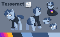 Size: 1920x1195 | Tagged: safe, artist:pucksterv, oc, oc only, oc:tesseract, equine, fictional species, mammal, pony, unicorn, feral, friendship is magic, hasbro, my little pony, 2019, clothes, hoodie, horn, male, reference sheet, simple background, solo, solo male, stallion, topwear
