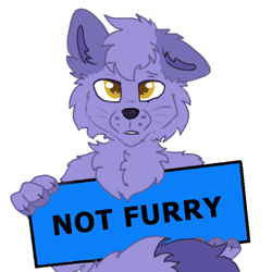 Size: 500x500 | Tagged: safe, artist:skodart, artist:sorajona, furbooru exclusive, astra, canine, fox, mammal, anthro, furbooru, ambiguous gender, astrael, cheek fluff, chest fluff, colored pupils, fluff, holding, low res, mascot, paws, sign, simple background, solo, solo ambiguous, spoiler image, tag, tail, transparent background, whiskers, yellow eyes