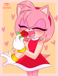 Size: 1426x1867 | Tagged: safe, artist:t-whiskers, amy rose (sonic), hedgehog, mammal, anthro, sega, sonic the hedgehog (series), 2020, 2d, blushing, border, clothes, cute, dress, eyes closed, female, flower, gloves, heart, quills, rose, simple background, solo, solo female, tail, watermark, yellow background