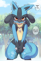 Size: 1568x2318 | Tagged: suggestive, artist:ruugiaruu, fictional species, lucario, mammal, anthro, nintendo, pokémon, ambiguous gender, blue fur, blushing, chest fluff, desperation, digital art, fangs, fluff, fur, grabbing crotch, japanese text, omorashi, open mouth, orange eyes, outdoors, paws, pissing, sky, solo, solo ambiguous, speech bubble, tears, teeth, tree, urine, wetting