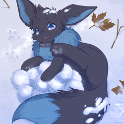 Size: 1200x1200 | Tagged: safe, artist:ancesra, oc, oc only, eevee, eeveelution, fictional species, mammal, feral, nintendo, pokémon, 2018, ambiguous gender, black fur, blue eyes, blue fur, blushing, chest fluff, collar, colored pupils, commission, ear fluff, english text, fluff, fur, head fluff, kemono, looking at you, lying down, paw pads, paws, signature, snow, solo, solo ambiguous, tail, text, underpaw, watermark