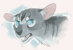 Size: 1968x1344 | Tagged: safe, artist:finchwing, jayfeather (warrior cats), cat, feline, mammal, feral, warrior cats, 2017, abstract background, blue eyes, bust, looking at you, male, simple background, solo, solo male
