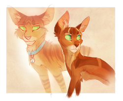 Size: 2696x2224 | Tagged: safe, artist:finchwing, firestar (warrior cats), jake (warrior cats), cat, feline, fictional species, ghost, mammal, undead, feral, warrior cats, 2016, cheek fluff, collar, duo, duo male, ear fluff, father, father and child, father and son, fluff, green eyes, high res, male, males only, orange background, partially transparent background, simple background, son, transparent background