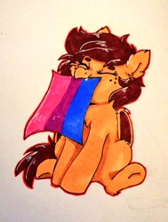Size: 774x1024 | Tagged: safe, artist:pucksterv, oc, oc only, oc:slumber tea, bat pony, equine, fictional species, mammal, pony, feral, friendship is magic, hasbro, my little pony, bat wings, beanbrows, bisexual pride flag, cheek fluff, cute little fangs, eyes closed, fangs, female, flag, fluff, folded wings, freckles, holding, hooves, mouth hold, pride, pride flag, simple background, sitting, solo, solo female, teeth, traditional art, underhoof, webbed wings, white background, wings
