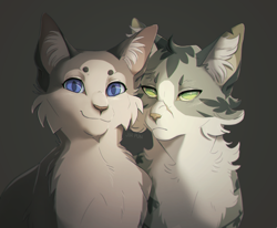 Size: 1003x826 | Tagged: safe, artist:jih-pun, dovewing (warrior cats), ivypool (warrior cats), cat, feline, mammal, feral, warrior cats, blue eyes, cheek fluff, chest fluff, cute, duo, ear fluff, female, fluff, gray background, green eyes, head fluff, looking at you, neck fluff, siblings, signature, simple background, sister, sisters, text, watermark
