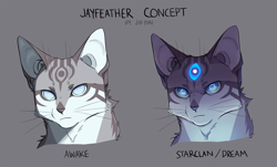 Size: 1264x762 | Tagged: dead source, safe, artist:jih-pun, jayfeather (warrior cats), cat, feline, mammal, feral, warrior cats, blind, blue eyes, character name, english text, gray background, looking at you, male, signature, simple background, solo, solo male, starclan, text, third eye