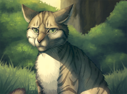 Size: 800x590 | Tagged: dead source, safe, artist:jih-pun, leafpool (warrior cats), cat, feline, mammal, feral, warrior cats, bush, cheek fluff, female, fluff, grass, green eyes, looking at you, realistic, scenery, scenery porn, sitting, solo, solo female, tail, tree