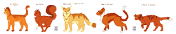 Size: 3029x596 | Tagged: dead source, safe, artist:jih-pun, alderheart (warrior cats), firestar (warrior cats), lionblaze (warrior cats), squirrelflight (warrior cats), thunderstar (warrior cats), cat, feline, mammal, feral, warrior cats, a vision of shadows, amber eyes, cute, dawn of the clans, english text, eyes closed, female, fluff, green eyes, group, large group, male, omen of the stars, paws, power of three, signature, simple background, text, the new prophecy, the prophecies begin, transparent background, watermark, yellow eyes