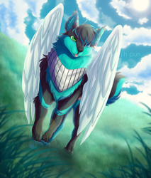 Size: 1000x1175 | Tagged: dead source, safe, artist:jih-pun, oc, oc only, canine, mammal, wolf, feral, ambiguous gender, bandanna, blue eyes, cheek fluff, chest fluff, claws, cloud, cute, ear fluff, fluff, grass, green eyes, head fluff, heterochromia, looking at you, neck fluff, paws, scenery, scenery porn, signature, sky, solo, solo ambiguous, text, watermark, wings