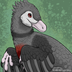 Size: 1200x1200 | Tagged: safe, artist:neonpossum, oc, oc only, oc:val (caracali), dinosaur, feathered dinosaur, raptor, theropod, velociraptor, feral, abstract background, beak, claws, feathered wings, feathers, female, gray feathers, red eyes, red feathers, signature, solo, solo female, watermark, wings