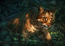Size: 1100x778 | Tagged: safe, artist:lhuin, asian golden cat, feline, mammal, feral, lifelike feral, 2017, ambiguous gender, brown eyes, brown fur, fur, grass, non-sapient, outdoors, realistic, signature, solo, solo ambiguous, striped fur, tan fur, whiskers