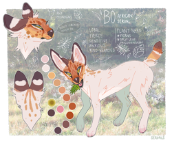 Size: 1300x1100 | Tagged: safe, artist:servals, oc, oc only, oc:bo (servals), feline, mammal, serval, feral, 2017, ambiguous gender, brown fur, bust, cheek fluff, color palette, ear fluff, english text, fluff, fur, leg fluff, neck fluff, partially transparent background, paws, reference sheet, signature, solo, solo ambiguous, speech bubble, tail, talking, tan fur, transparent background, white fur, yellow eyes