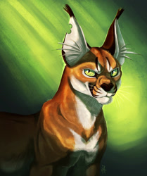 Size: 2017x2410 | Tagged: safe, artist:arven92, oc, oc only, oc:bibi (arven92), caracal, feline, mammal, feral, africa (arven92), 2018, abstract background, bite mark, ear fluff, ear tuft, fluff, high res, looking at you, male, realistic, slit pupils, solo, solo male, whiskers