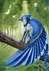 Size: 655x945 | Tagged: safe, artist:alectorfencer, bird, blue jay, corvid, jay, songbird, semi-anthro, 2008, beak, bird feet, blue feathers, feathered wings, feathers, forest, leaf, male, signature, solo, solo male, tail, traditional art, tree, tree branch, wings