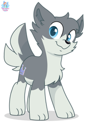 Size: 733x1024 | Tagged: safe, artist:rainbow eevee, oc, oc only, oc:flow (theglitchedwolf), canine, equine, fictional species, hybrid, mammal, pony, wolf, wolf pony, feral, alpha channel, blue eyes, cheek fluff, chest fluff, colored pupils, fluff, head fluff, looking at you, male, neck fluff, paws, simple background, solo, solo male, tail, transparent background, watermark