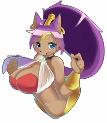Size: 3044x3500 | Tagged: species needed, suggestive, artist:faeki_dk, shantae (shantae), fictional species, genie, mammal, anthro, shantae (series), 2017, blue eyes, bra, bracelet, breasts, clothes, ear piercing, earring, female, hair, high res, huge breasts, implied transformation, jewelry, necklace, open mouth, piercing, signature, simple background, solo, solo female, species swap, underwear, white background