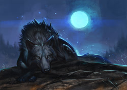 Size: 1403x992 | Tagged: safe, artist:artnullight, canine, mammal, wolf, feral, lifelike feral, ambiguous gender, cheek fluff, claws, crossed legs, digital art, digital painting, fluff, front view, fur, grass, looking at you, lying down, moon, moonlight, night, non-sapient, outdoors, paws, prone, realistic, solo, solo ambiguous, tail, tail fluff