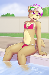 Size: 3300x5100 | Tagged: suggestive, artist:punkpega, oc, oc only, oc:nolly, bear, mammal, anthro, bikini, brown fur, bulge, clothes, crossdressing, femboy, freckles, fur, glasses, looking back, male, pool, smiling, solo, solo male, sunglasses, swimsuit, tail