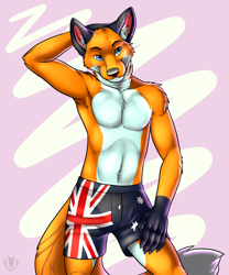 Size: 1066x1280 | Tagged: safe, alternate version, artist:vallhund, oc, oc only, oc:orithan, canine, fox, mammal, red fox, anthro, 2013, abstract background, arm fluff, armpit fluff, armpits, belly fluff, black fur, blue eyes, bottomwear, cheek fluff, chest fluff, clothes, ear fluff, fluff, front view, fur, hand behind head, hand on head, hand on leg, male, orange fur, shorts, shoulder fluff, smiling, solo, solo male, standing, tail, tail fluff, watermark, white fur