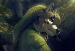 Size: 1500x1019 | Tagged: safe, artist:momobeda, link (wolf form), link (zelda), canine, mammal, wolf, anthro, nintendo, the legend of zelda, the legend of zelda: twilight princess, digital art, digital painting, male, realistic, solo, solo male
