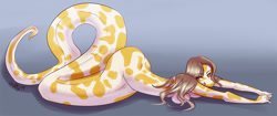 Size: 1481x620 | Tagged: safe, artist:whitephox, fictional species, python, reptile, snake, anthro, naga, backbend, breasts, brown hair, butt, eye through hair, eyelashes, face down ass up, female, hair, looking at you, lying down, mottled body, prone, signature, snake tail, solo, solo female, stretching, tail, white body, wide hips, yellow body