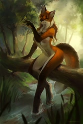 Size: 1000x1500 | Tagged: safe, artist:julia_tdc, bird, canine, chickadee, fox, mammal, red fox, songbird, anthro, feral, arm fluff, belly button, breasts, cheek fluff, digital art, digital painting, duo, ear fluff, featureless breasts, female, female focus, fluff, forest, fur, gloves (arm marking), hair, nudity, orange fur, outdoors, partially submerged, raised hand, sitting, size difference, solo focus, stream, tail, tail fluff, tit, tree, water, white fur