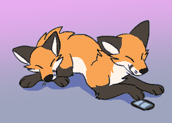 Size: 700x500 | Tagged: safe, artist:theroguez, oc, oc only, oc:foxfox (theroguez), canine, fox, mammal, red fox, feral, 2d, 2d animation, ambiguous gender, animated, black fur, breathing, cell phone, cheek fluff, chest fluff, conjoined, conjoined twins, crossed legs, cute, fluff, frame by frame, fur, gif, gradient background, leg fluff, lying down, multiple heads, orange fur, paws, phone, prone, sleeping, smartphone, socks (leg marking), solo, solo ambiguous, two heads, whiskers, white fur