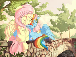 Size: 3500x2600 | Tagged: safe, artist:mrnobody47, fluttershy (mlp), rainbow dash (mlp), equine, fictional species, mammal, pegasus, pony, feral, friendship is magic, hasbro, my little pony, 2017, 2d, bridge, cottagecore, cuddling, cute, duo, duo female, eyes closed, feathered wings, feathers, female, female/female, feral/feral, flutterdash (mlp), high res, hug, mare, scenery, scenery porn, shipping, signature, sky, smiling, tail, tree, wing hug, wings