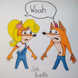 Size: 1237x1237 | Tagged: safe, artist:jbuerkle11, coco bandicoot (crash bandicoot), crash bandicoot (crash bandicoot), bandicoot, mammal, marsupial, anthro, crash bandicoot (series), 2020, brother, brother and sister, female, male, meme, siblings, sister, woah