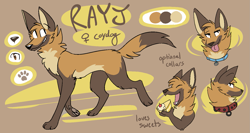 Size: 1559x828 | Tagged: safe, artist:theroguez, oc, oc only, oc:rayj (theroguez), canine, coydog, coyote, dog, hybrid, mammal, feral, 2019, abstract background, black eyes, blep, brown eyes, brown fur, cake, character name, chest fluff, claws, collar, color palette, digital art, female, fluff, food, fur, head fluff, leg fluff, looking at you, looking sideways, neck fluff, open mouth, paw pads, paws, reference sheet, side view, socks (leg marking), solo, solo female, tail, tail fluff, tan fur, tongue, tongue out, underpaw